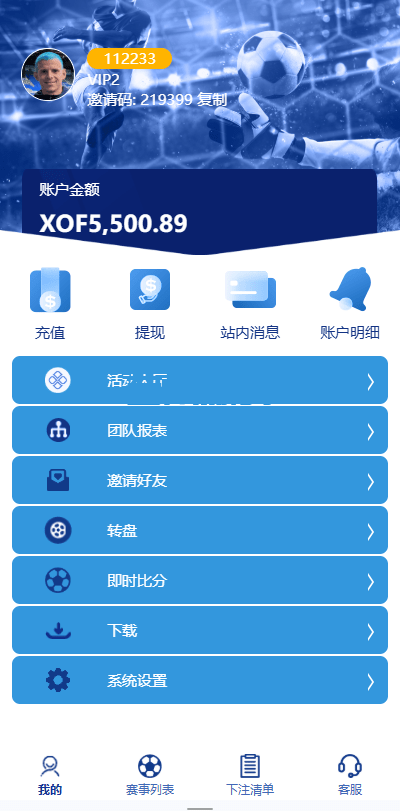 图片[6]-多语言海外反波胆系统/世界杯球盘足球源码/足球下注/三级分销-百川源码网-精品源码网站